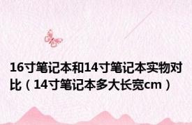 16寸笔记本和14寸笔记本实物对比（14寸笔记本多大长宽cm）