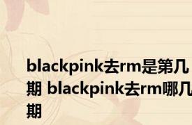 blackpink去rm是第几期 blackpink去rm哪几期