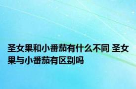 圣女果和小番茄有什么不同 圣女果与小番茄有区别吗