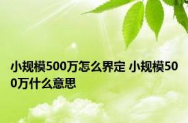 小规模500万怎么界定 小规模500万什么意思