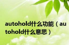 autohold什么功能（autohold什么意思）