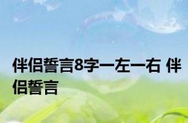 伴侣誓言8字一左一右 伴侣誓言