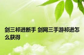 剑三祁进断手 剑网三手游祁进怎么获得