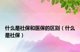 什么是社保和医保的区别（什么是社保）