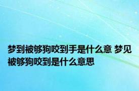 梦到被够狗咬到手是什么意 梦见被够狗咬到是什么意思