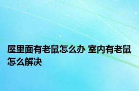 屋里面有老鼠怎么办 室内有老鼠怎么解决