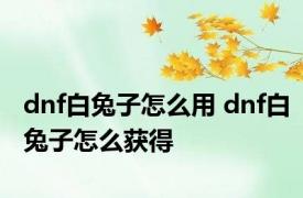 dnf白兔子怎么用 dnf白兔子怎么获得