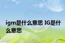 igm是什么意思 IG是什么意思