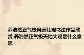 养浩然正气极风云壮观书法作品欣赏 养浩然正气极天地大观是什么意思