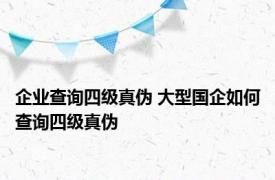 企业查询四级真伪 大型国企如何查询四级真伪