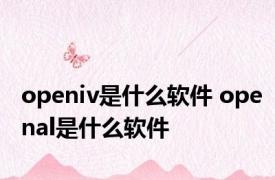 openiv是什么软件 openal是什么软件