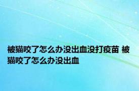 被猫咬了怎么办没出血没打疫苗 被猫咬了怎么办没出血 