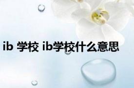 ib 学校 ib学校什么意思