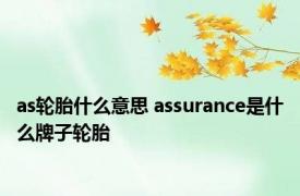 as轮胎什么意思 assurance是什么牌子轮胎