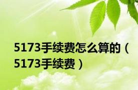 5173手续费怎么算的（5173手续费）