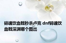 碎魂饮血戟秒杀卢克 dnf碎魂饮血戟深渊哪个图出