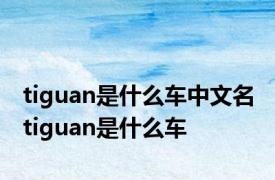 tiguan是什么车中文名 tiguan是什么车