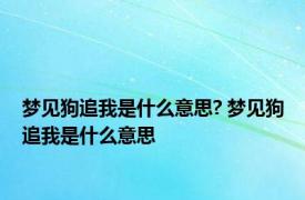 梦见狗追我是什么意思? 梦见狗追我是什么意思