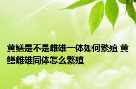 黄鳝是不是雌雄一体如何繁殖 黄鳝雌雄同体怎么繁殖