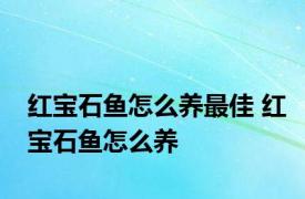 红宝石鱼怎么养最佳 红宝石鱼怎么养