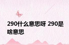 290什么意思呀 290是啥意思