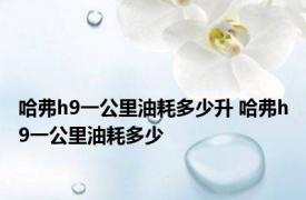 哈弗h9一公里油耗多少升 哈弗h9一公里油耗多少