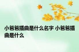 小爸爸插曲是什么名字 小爸爸插曲是什么