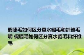 假睫毛如何区分真水貂毛和纤维毛呢 假睫毛如何区分真水貂毛和纤维毛