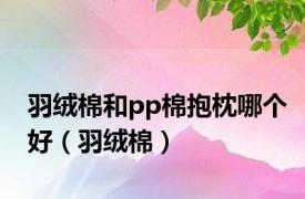 羽绒棉和pp棉抱枕哪个好（羽绒棉）