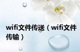 wifi文件传送（wifi文件传输）