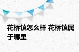 花桥镇怎么样 花桥镇属于哪里