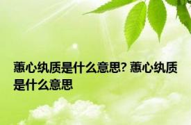 蕙心纨质是什么意思? 蕙心纨质是什么意思