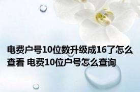 电费户号10位数升级成16了怎么查看 电费10位户号怎么查询