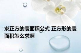 求正方的表面积公式 正方形的表面积怎么求啊