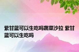 紫甘蓝可以生吃吗蔬菜沙拉 紫甘蓝可以生吃吗