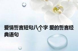 爱情誓言短句八个字 爱的誓言经典语句