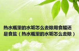 热水瓶里的水垢怎么去除用食醋还是食盐（热水瓶里的水垢怎么去除）