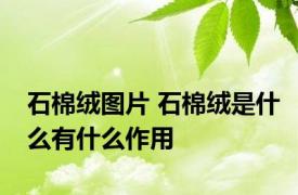 石棉绒图片 石棉绒是什么有什么作用