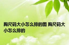 胸尺码大小怎么排的图 胸尺码大小怎么排的