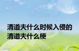 清道夫什么时候入侵的 清道夫什么梗