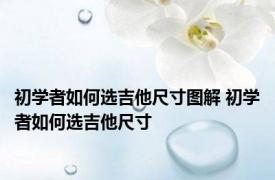 初学者如何选吉他尺寸图解 初学者如何选吉他尺寸