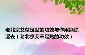 老北京艾草足贴的功效与作用能除湿去（老北京艾草足贴的功效）