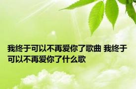 我终于可以不再爱你了歌曲 我终于可以不再爱你了什么歌