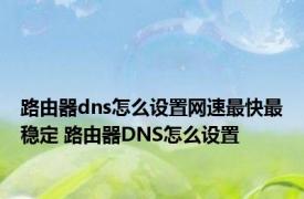 路由器dns怎么设置网速最快最稳定 路由器DNS怎么设置