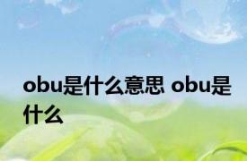 obu是什么意思 obu是什么