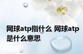 网球atp指什么 网球atp是什么意思