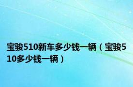 宝骏510新车多少钱一辆（宝骏510多少钱一辆）