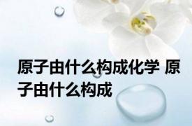 原子由什么构成化学 原子由什么构成