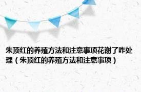 朱顶红的养殖方法和注意事项花谢了咋处理（朱顶红的养殖方法和注意事项）