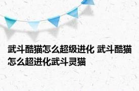 武斗酷猫怎么超级进化 武斗酷猫怎么超进化武斗灵猫